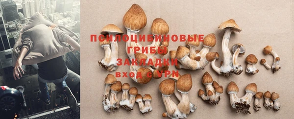 молекула духа Балабаново