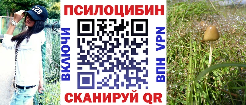 Псилоцибиновые грибы мухоморы  Озёры 
